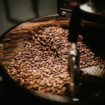 Amber Bean 5
